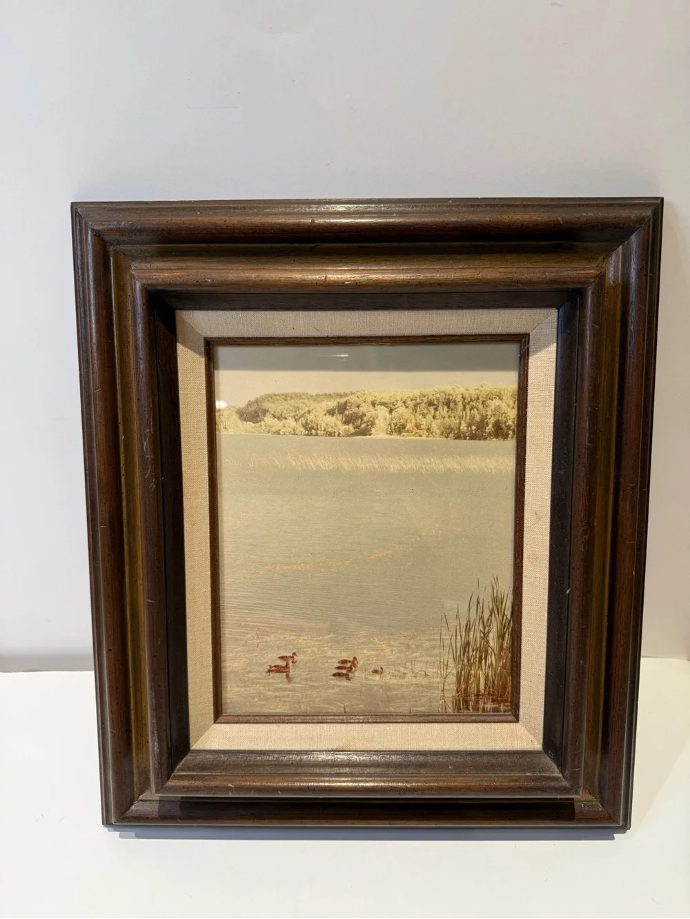 Vintage Framed Mallard Ducks Lake Landscape Art Print Wood Canvas Matte